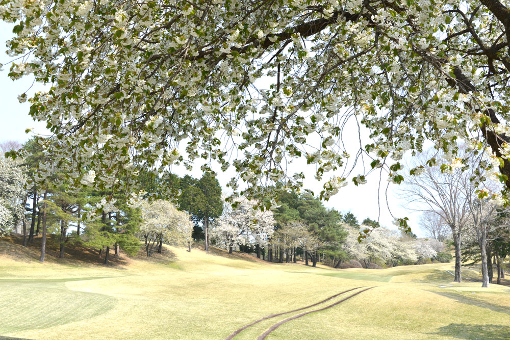 グランフィールズカントリークラブ(静岡県三島市/三島駅/その他(アミューズメント・エンタメ系))_2